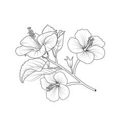 Hawaiian Hibiscus Flower Tattoo Drawing