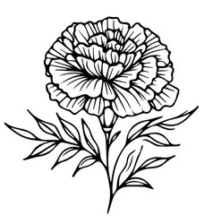 Marigold Isolated Images Clip Art Black Tattoo Wi