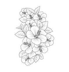 Realistic Hibiscus Outline Sketch Hibiscus Tattoo