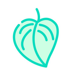 Monstera Plant Leaf Color Icon