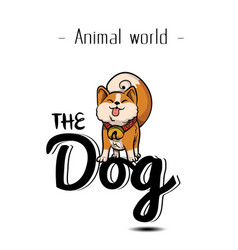 Animal World The Dog Chiba Background Image