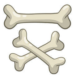 Human Bone Set Of Skeleton Elements