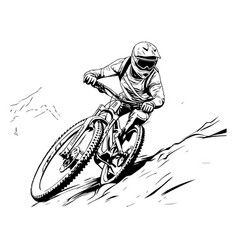 A Mountain Biker On Bike