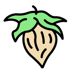 Botany Jojoba Nut Icon Color Outline