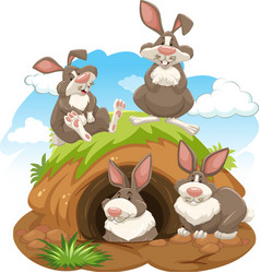 Group Of Rabbits With Animal Burrow