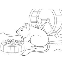 Rodent Degu In A Cage Children Coloring Book