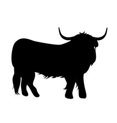 Standing Highland Cattle Silhouette