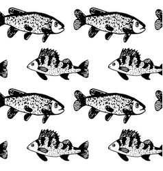 Seamless Black Pattern Of Ruff Fish