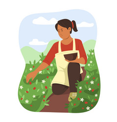 Woman Picking Fresh Fruit In Garden