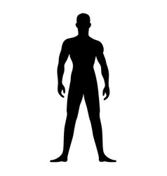 Male Athletic Human Body Silhouette