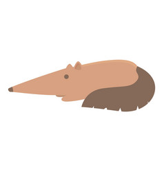 Anteater Icon Cartoon Giant Animal