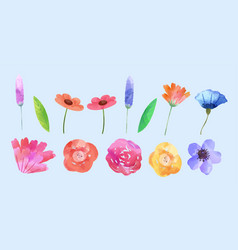 Watercolor Flower Set