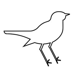 Nightingale Luscinia Bird Silhouette Icon Outline