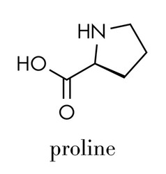 Proline L-proline Pro Amino Acid Molecule