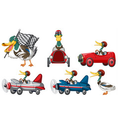 Soap Box Derby Race With Duck Cartoon Character