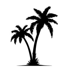 Two Palm Trees Silhouette