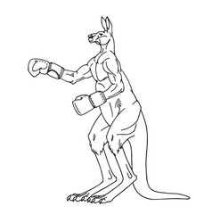 A Sporty Male Kangaroo In Boxing Gloves