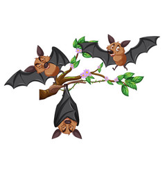 Bats On A Tree Branch