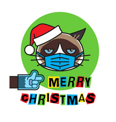 Grumpy Cat In Mask Gloves And Christmas Hat