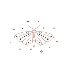 Mystical Celestial Outline Moth With Sparkles Line