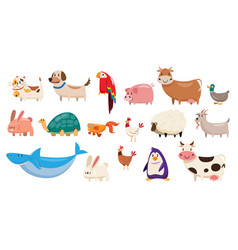 Set Of Animals Wildlife Character