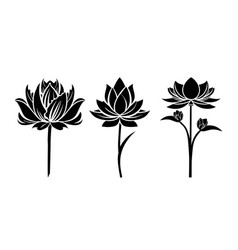 Lotus Water Lily Flower Black Silhouettes Set