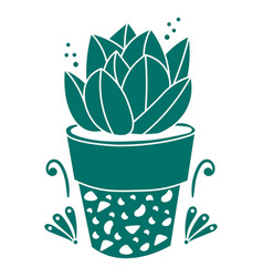 Succulent Plant In Pot Cut Out