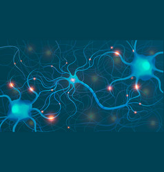 Neuroscience Net Visualization Composition