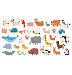 Set Of Animals Wildlife Character