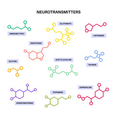 Chemical Formulas Of Neurotransmitters