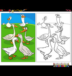 Cartoon Geese Birds Farm Animal Characters