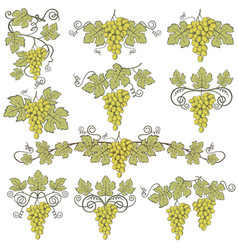 Grapes Bunches Set