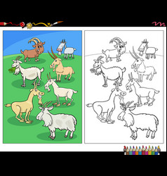 Cartoon Goats Farm Animal Characters Coloring Page