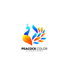 Peacock Logo Design Gradient Colorful Icon