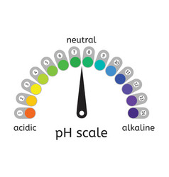 Ph Scale Of Acidicneutral And Alkaline Value Chart