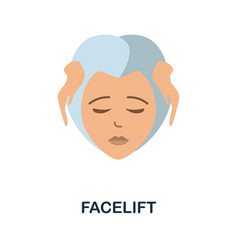 Facelift Flat Icon Colored Element Sign From