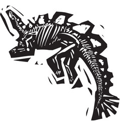 Stegosaurus Fossil