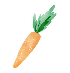 Watercolor Carrot Design