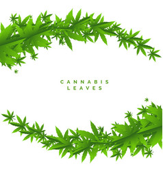 Weed Marijuana Green Leaves Background