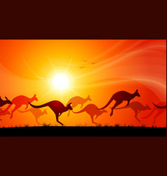 Kangaroos Hopping Across Desert Sunset