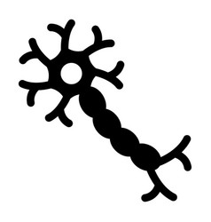 Dendrites