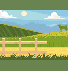 Rural Cow And Fence