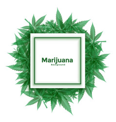 Cannabis Marijuana Leaves Frame Background