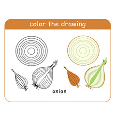 Coloring Book For Children Sliced Onion Head