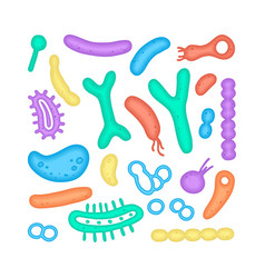 Microbiome Of Bacteria Image Gastroenterologist