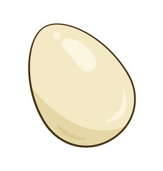 White Chicken Egg