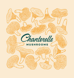 Chanterelle Mushrooms Label