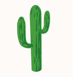 Tall Green Cactus On White Background