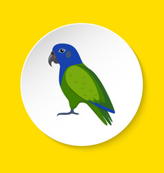 Pionus Parrot Icon In Flat Style