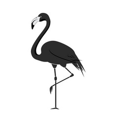 Flamingo Silhouette Tattoo Isolated On White